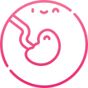 Frozen Embryo Transfer